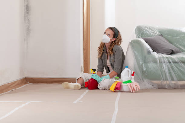 Reliable Black Mold Removal contractor in Feasterville Trevose, PA by WQB Mold Removal